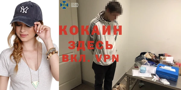 гидра Елизово