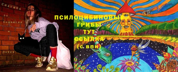 гидра Елизово