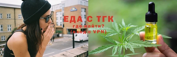 гидра Елизово