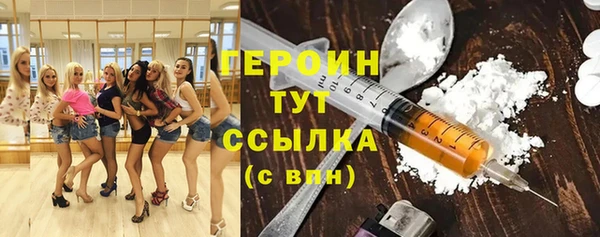 гидра Елизово