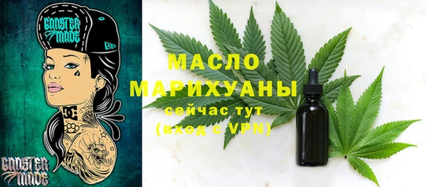 гидра Елизово