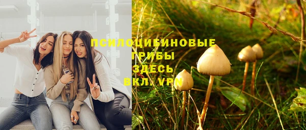 гидра Елизово