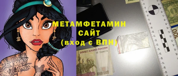 гидра Елизово