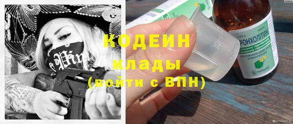 гидра Елизово