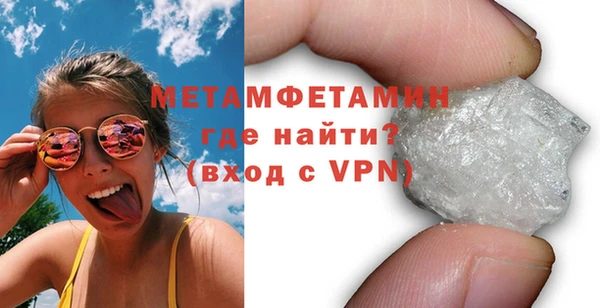 гидра Елизово