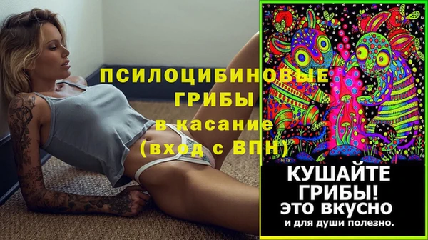 гидра Елизово
