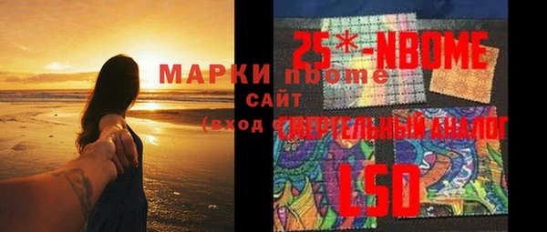 гидра Елизово