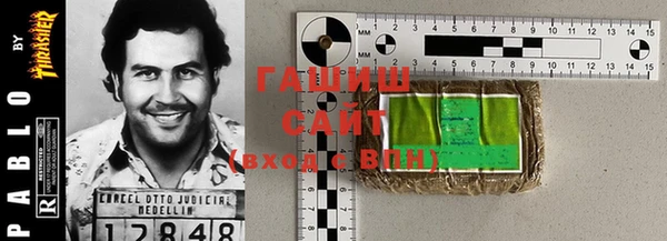 гидра Елизово