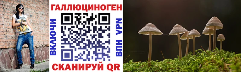mega онион  Сегежа  Галлюциногенные грибы мухоморы 