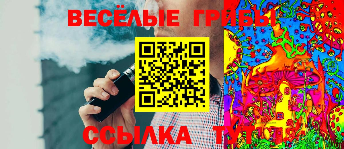 Псилоцибиновые грибы мухоморы  Вход с VPN  Сегежа  Псилоцибиновые грибы мухоморы 
