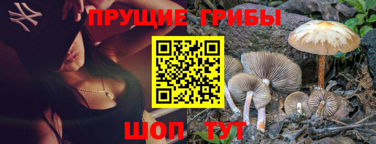 Псилоцибиновые грибы MAGIC MUSHROOMS Сегежа
